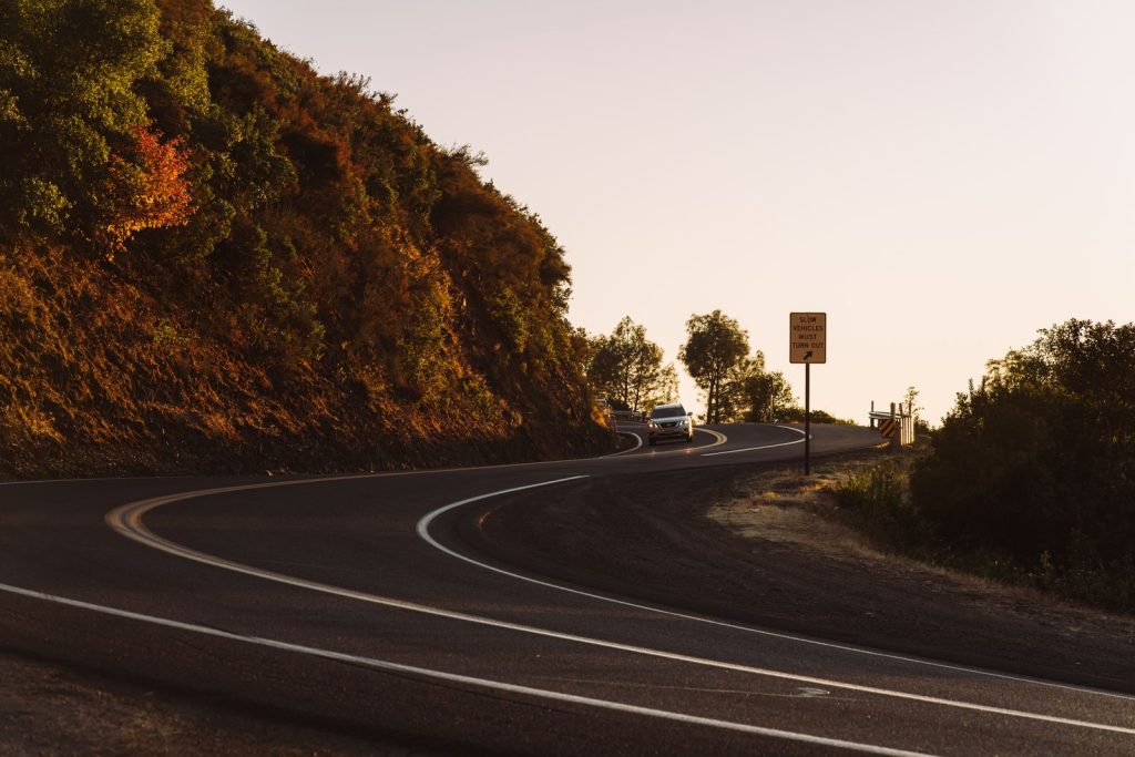 Une voiture circule sur une route bordée de végétation.
